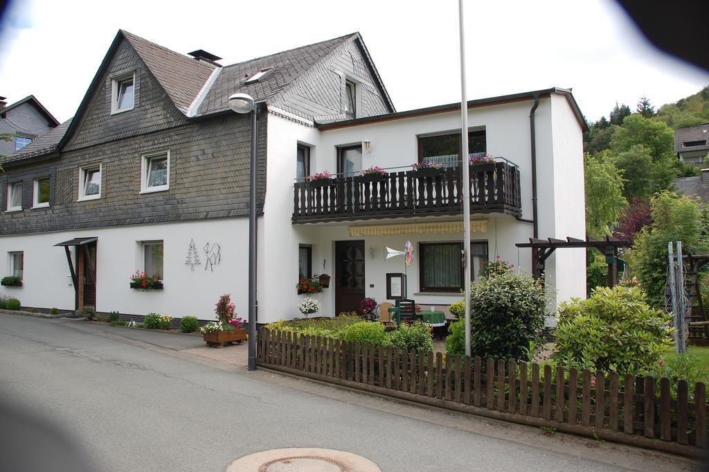 Ferienwohnung Klauke Winterberg Habitación foto